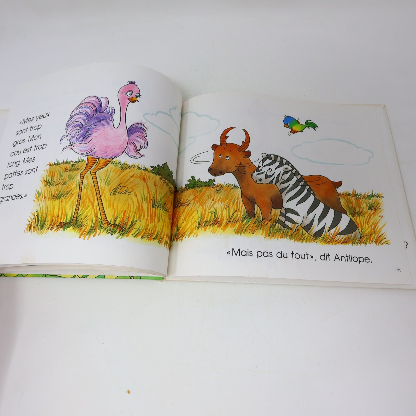 Lot 14 Le Château Magique du Livre Jane Belk Moncure Livres Enfants Français 80s