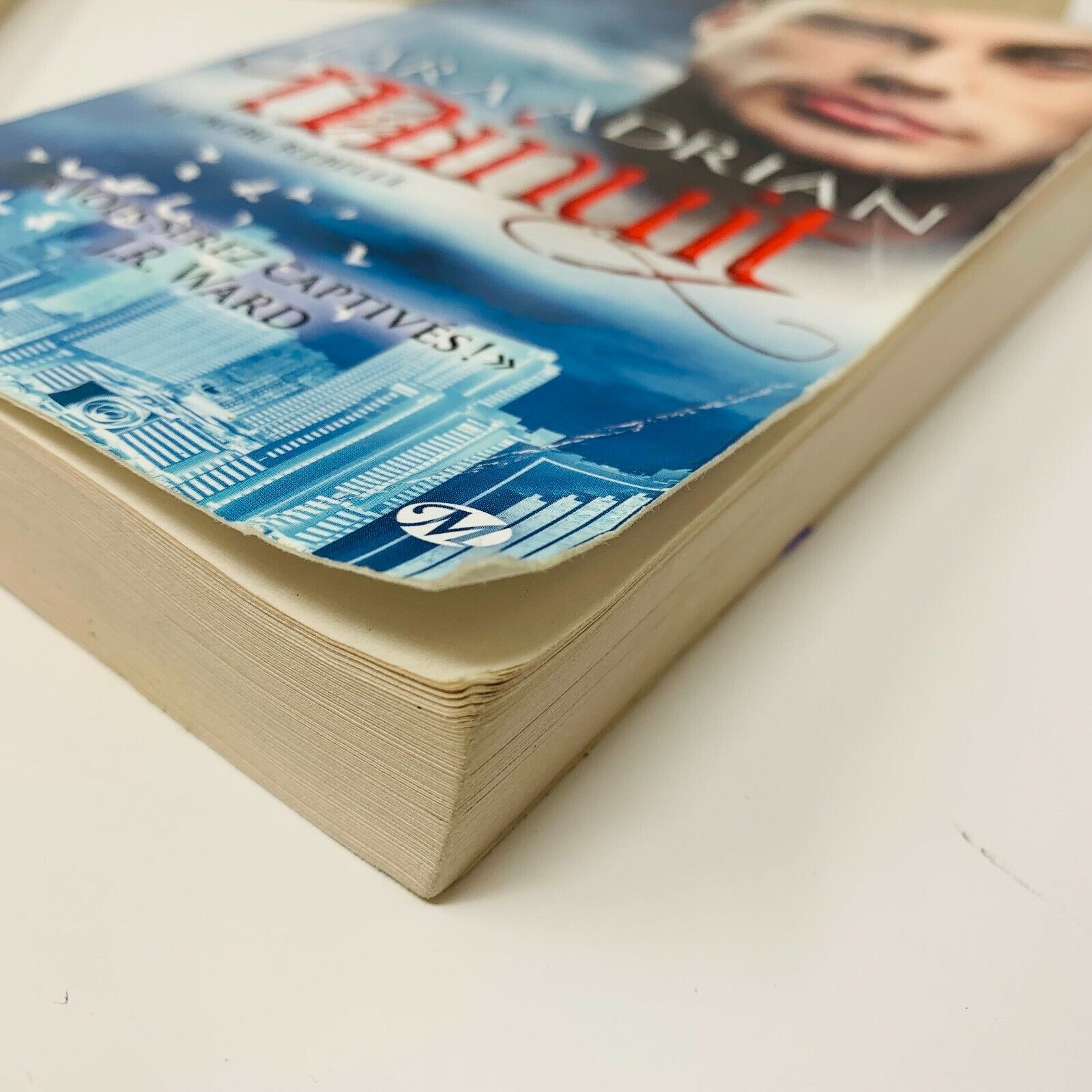 Minuit #1-14 de Lara Adrian Lot de 14 Livres en Français/French Minuit Écarlate