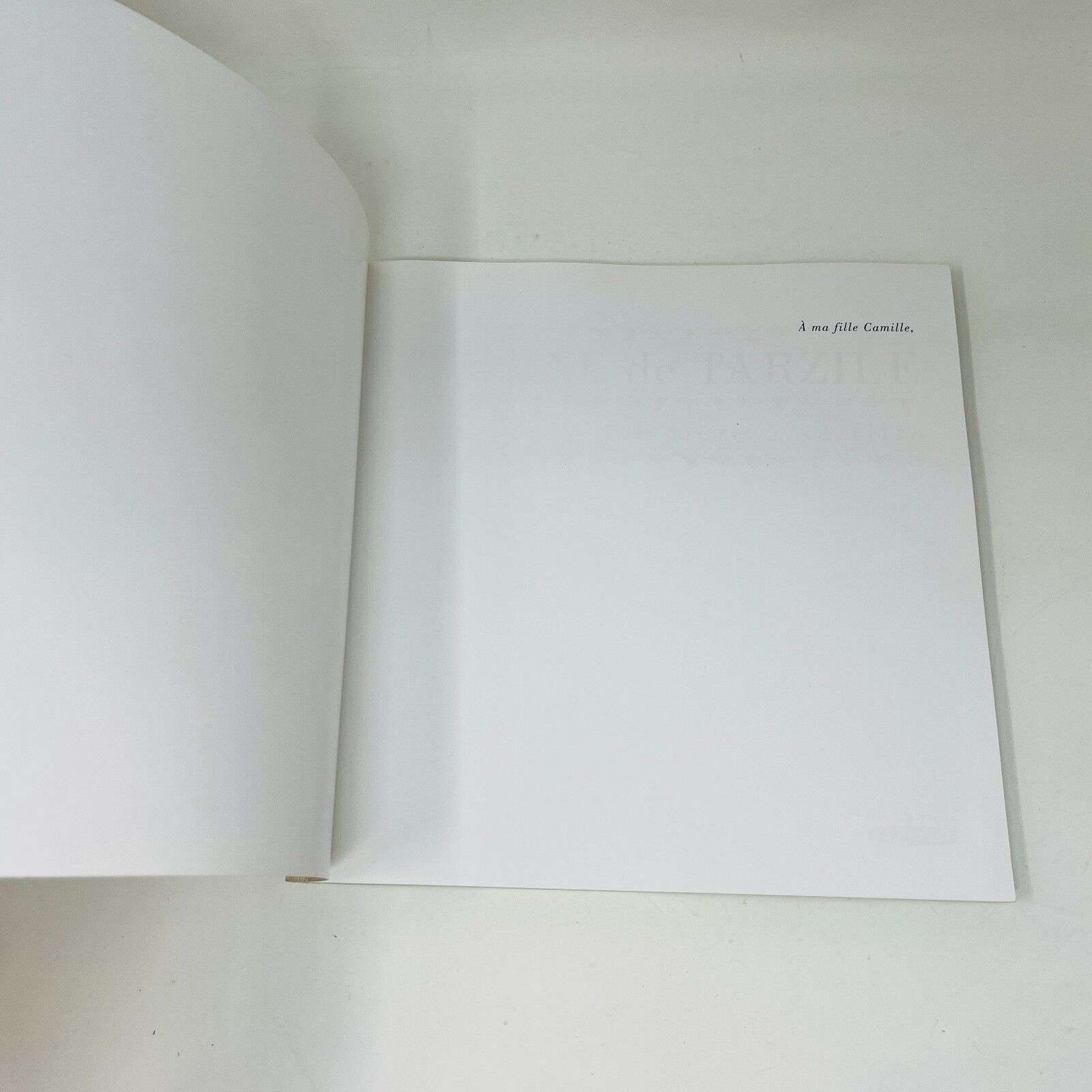 2007 Cuisine de Tarzile de Sylviane Beauregard Livre Recettes La Presse Français