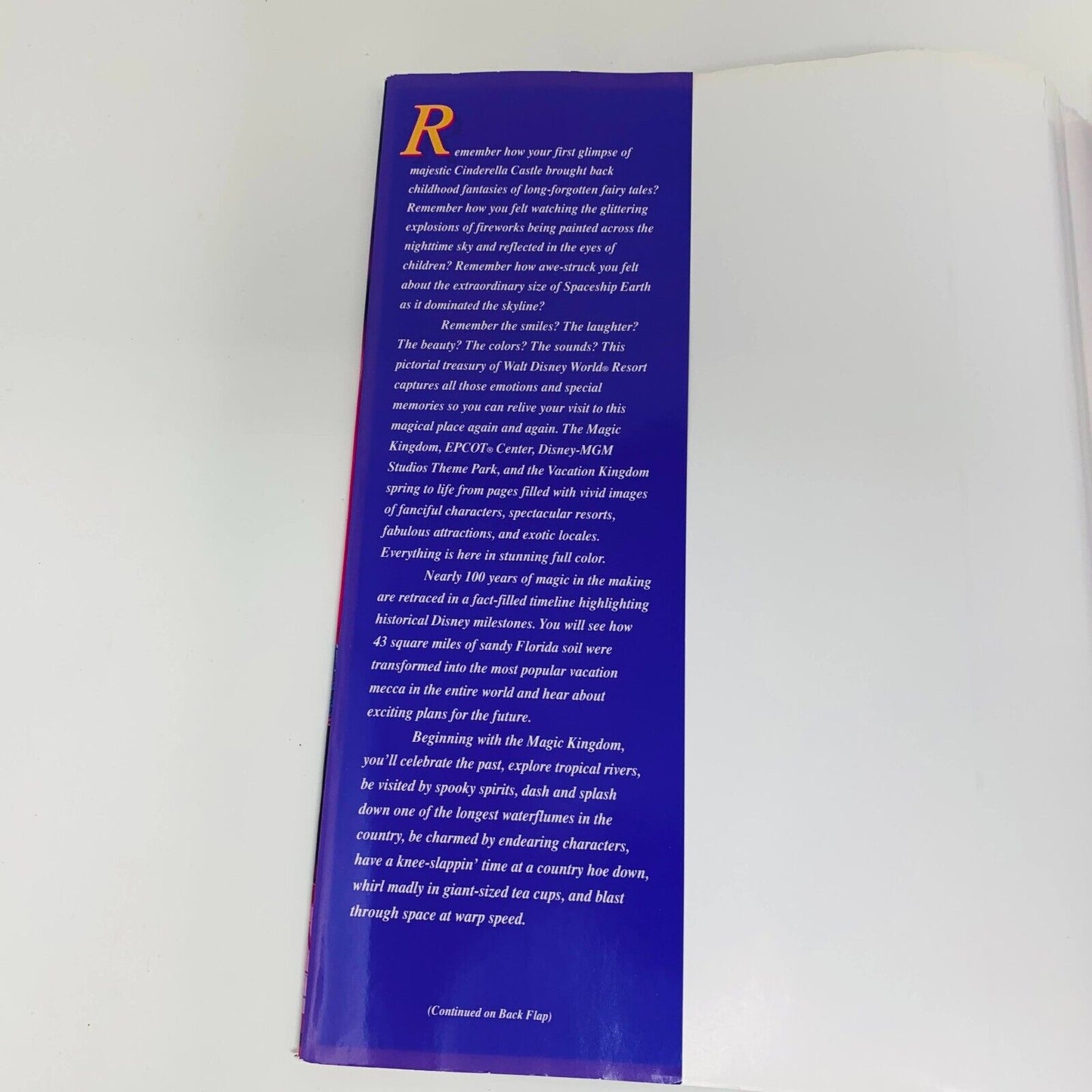 c1990s Walt Disney World Disney's Kingdom Editions Purple Theme Parks Hardcover