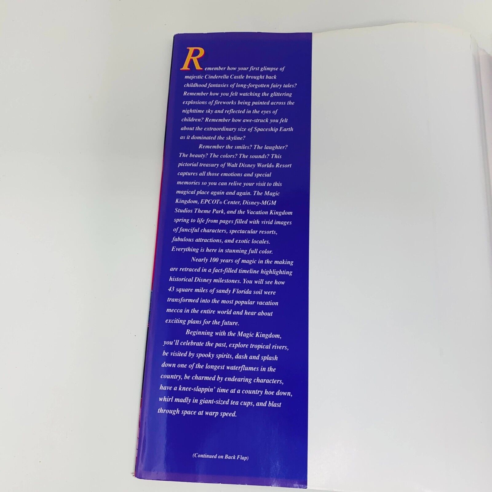 c1990s Walt Disney World Disney's Kingdom Editions Purple Theme Parks Hardcover