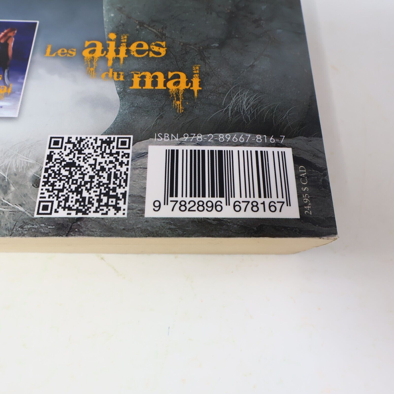 Feu d'Ange #1 Courtney Allison Moulton 2013 Ada Français Paperback Fantasy Livre