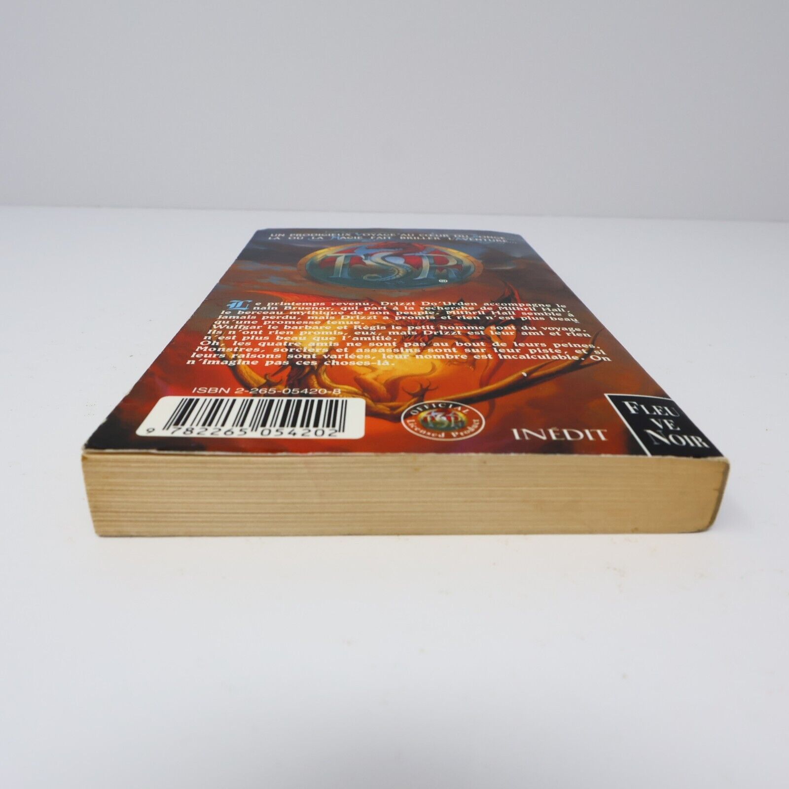 1996 Royaumes Oubliés #16 Les Torrents d'Argent La Trilogie du Val Bise Fantasy