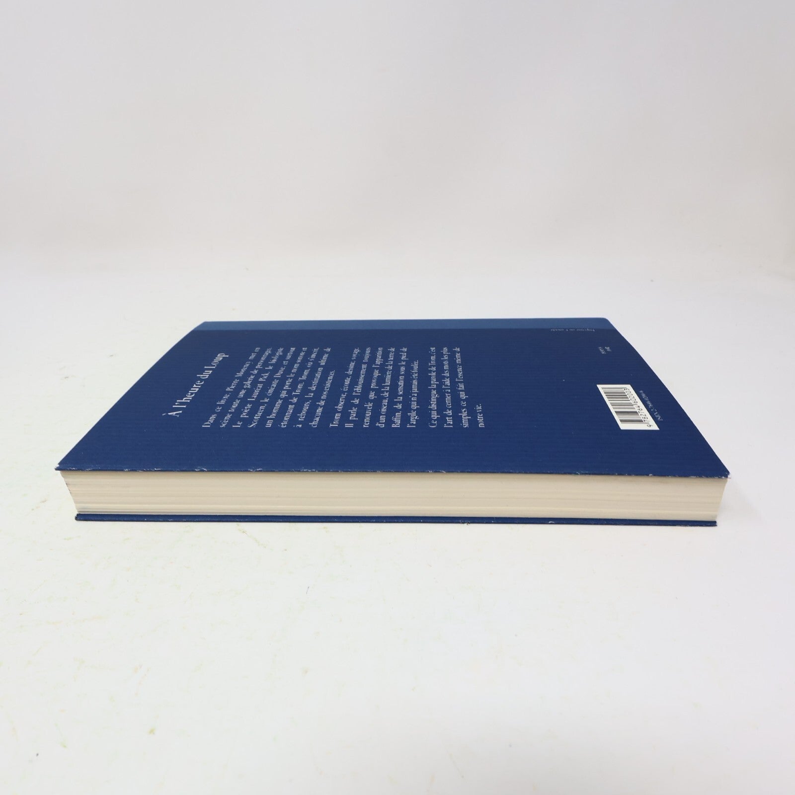 2002 À l'Heure du Loup Pierre Morency Boréal Littérature Québécoise Roman Prose