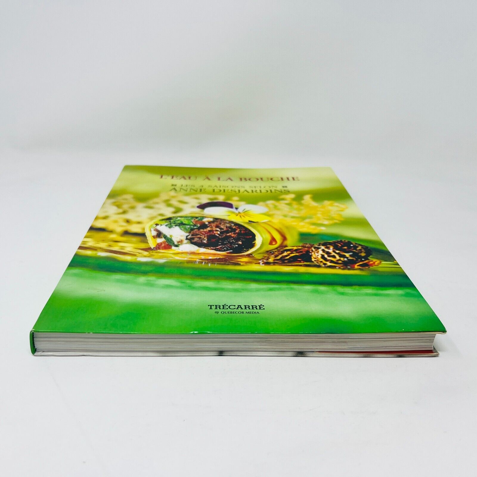 2003 L'Eau à la Bouche les 4 Saisons selon Anne Desjardins Recettes Cuisine PB
