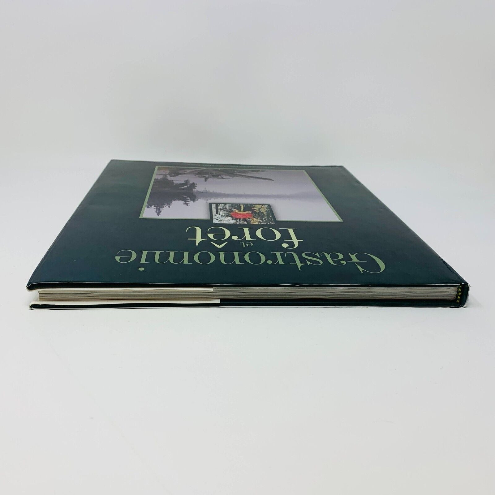 2003 Gastronomie en Forêt Gesti-Faune Livre Recettes Cuisine en Français French