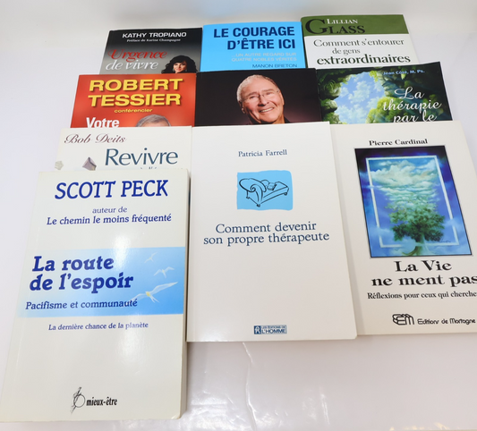 Développement Personnel Santé Mentale Psychologie Lot 10 Livres Français French