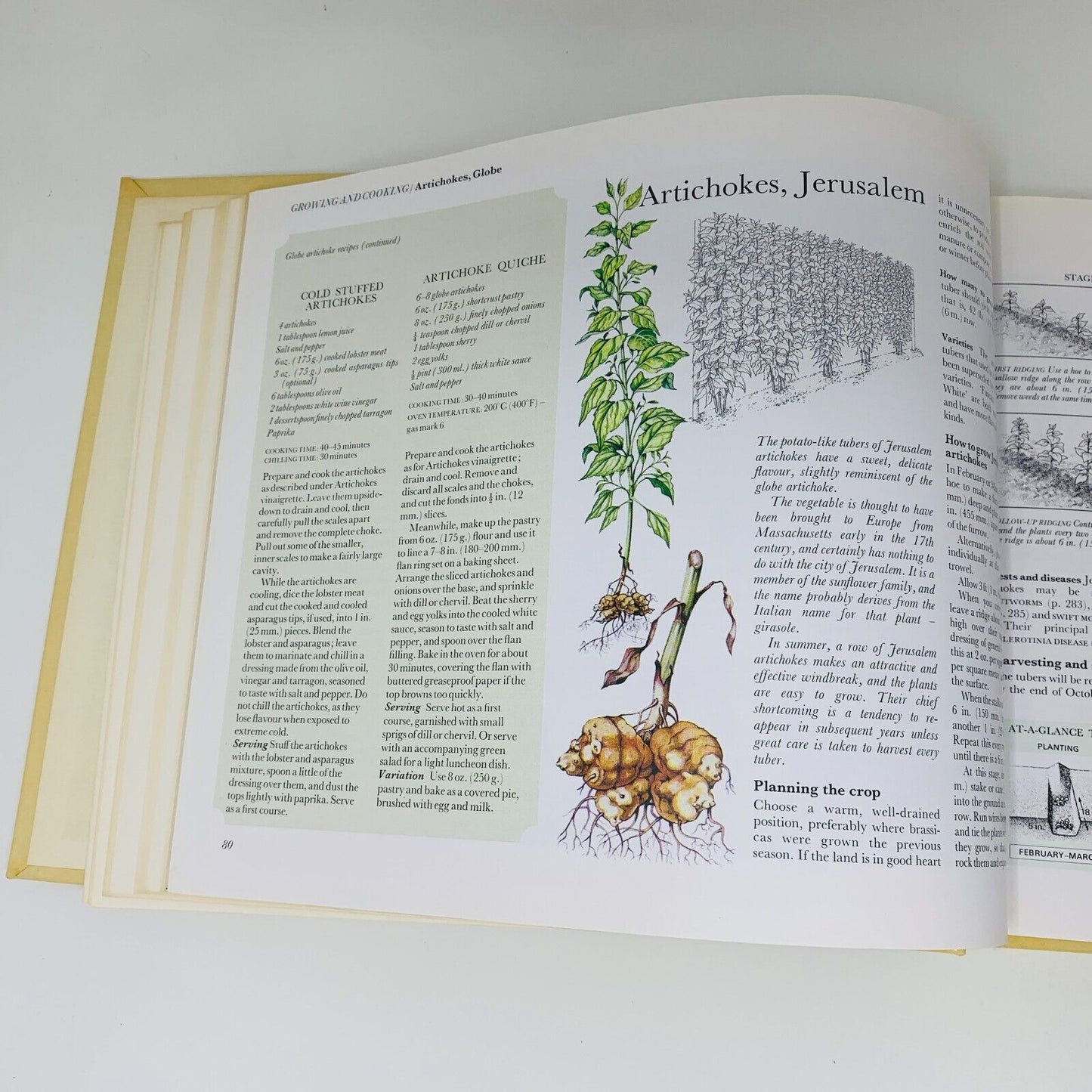 1977 Food From Your Garden Reader's Digest Grow Cook Preserve Fruit & Vegetables