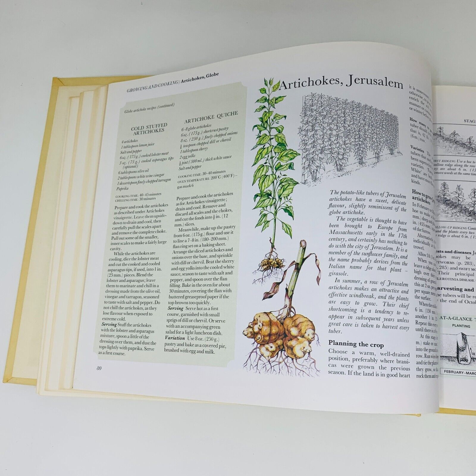 1977 Food From Your Garden Reader's Digest Grow Cook Preserve Fruit & Vegetables