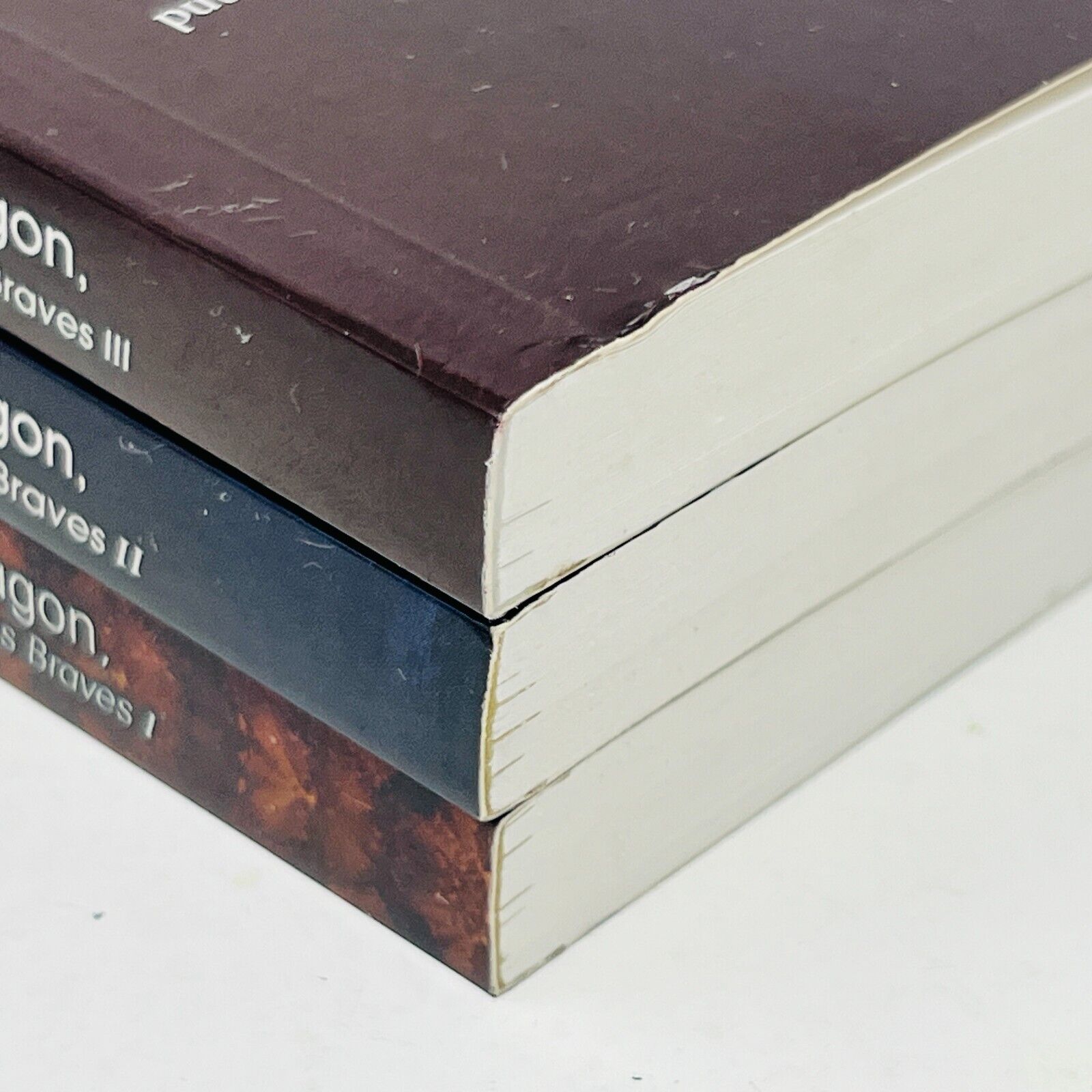 Amos Daragon Le Sanctuaire des Braves #1-3 Série Complète Bryan Perro Lot Livres