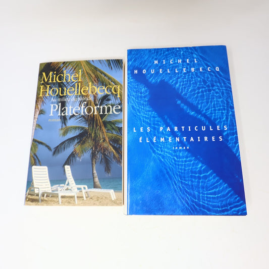 Michel Houellebecq Lot 2 Livres Les Particules Élémentaires/Plateforme Français
