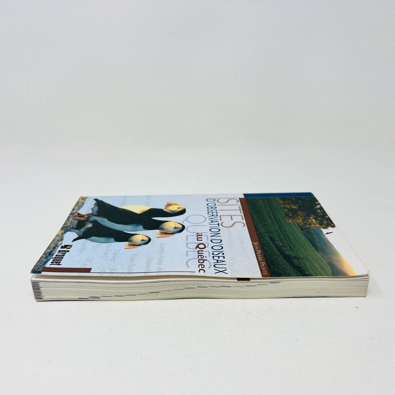 2004 Sites d'Observation d'Oiseaux au Québec Livre de Jean-Pierre Pratte Broquet