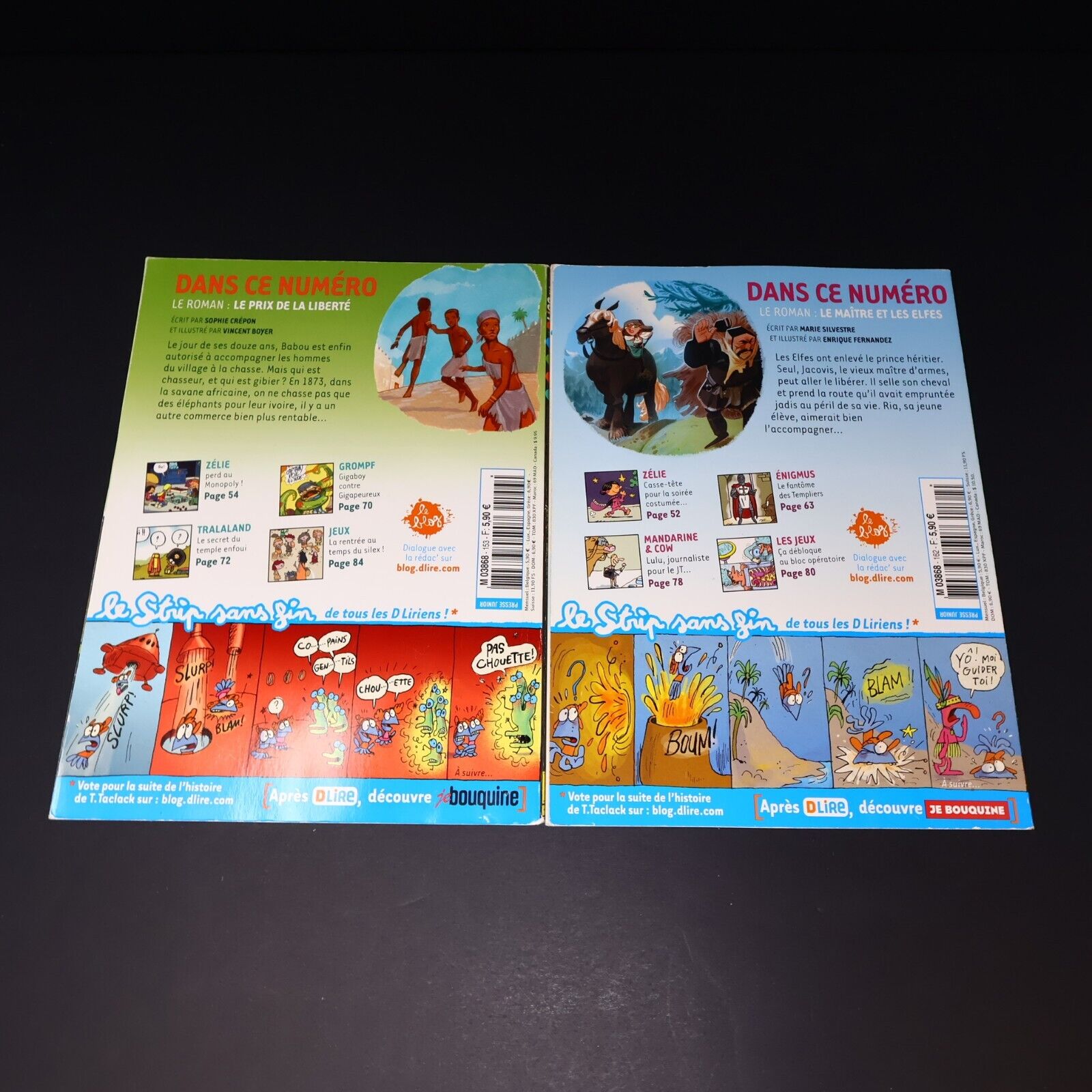 Lot 10 Magazines DLire Enfants Magazine Bayard Le Maître et les Elfes Français