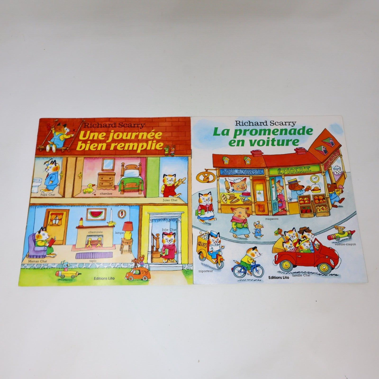 Lot 10 Livres Enfants Vintage Goldorak Belle et Sébastien Richard Scarry French