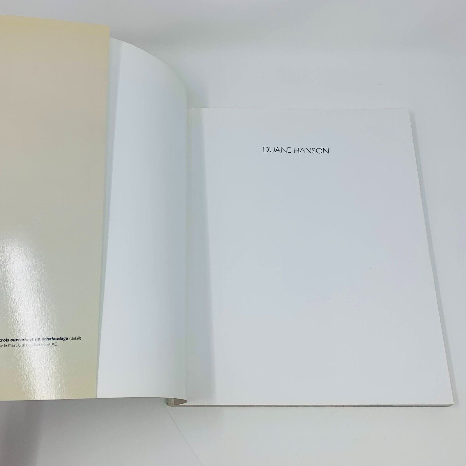 1994 Duane Hanson Musée des Beaux-Arts de Montréal Français Livre Sculptures 
