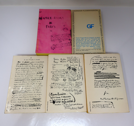 Victor Hugo Lot 5 Livres Les Misérables/Notre-Dame de Paris/Quatrevingt-Treize