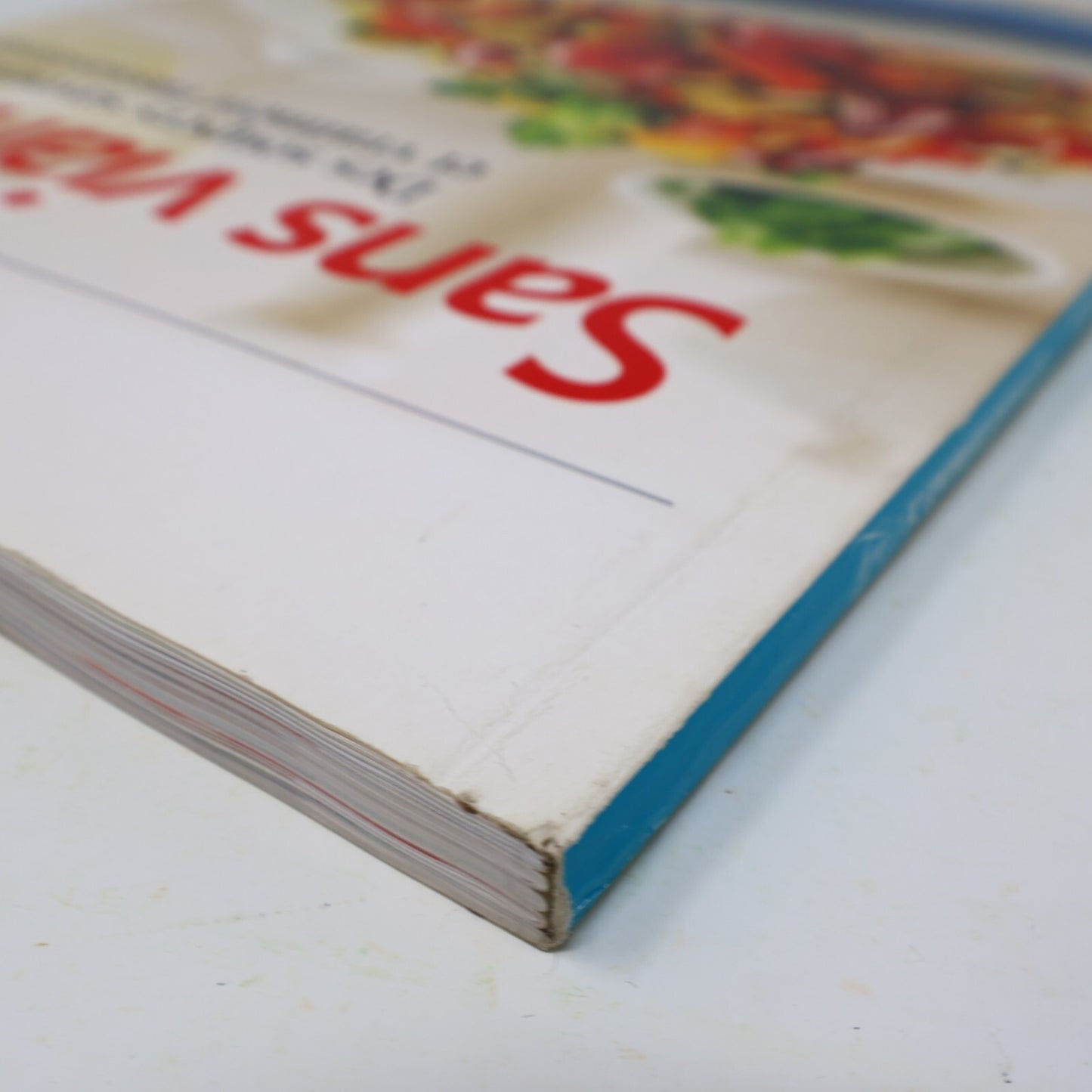 2016 Sans Viande des Soupers Savoureux Caty Bérubé Cuisine Recettes Québec Livre
