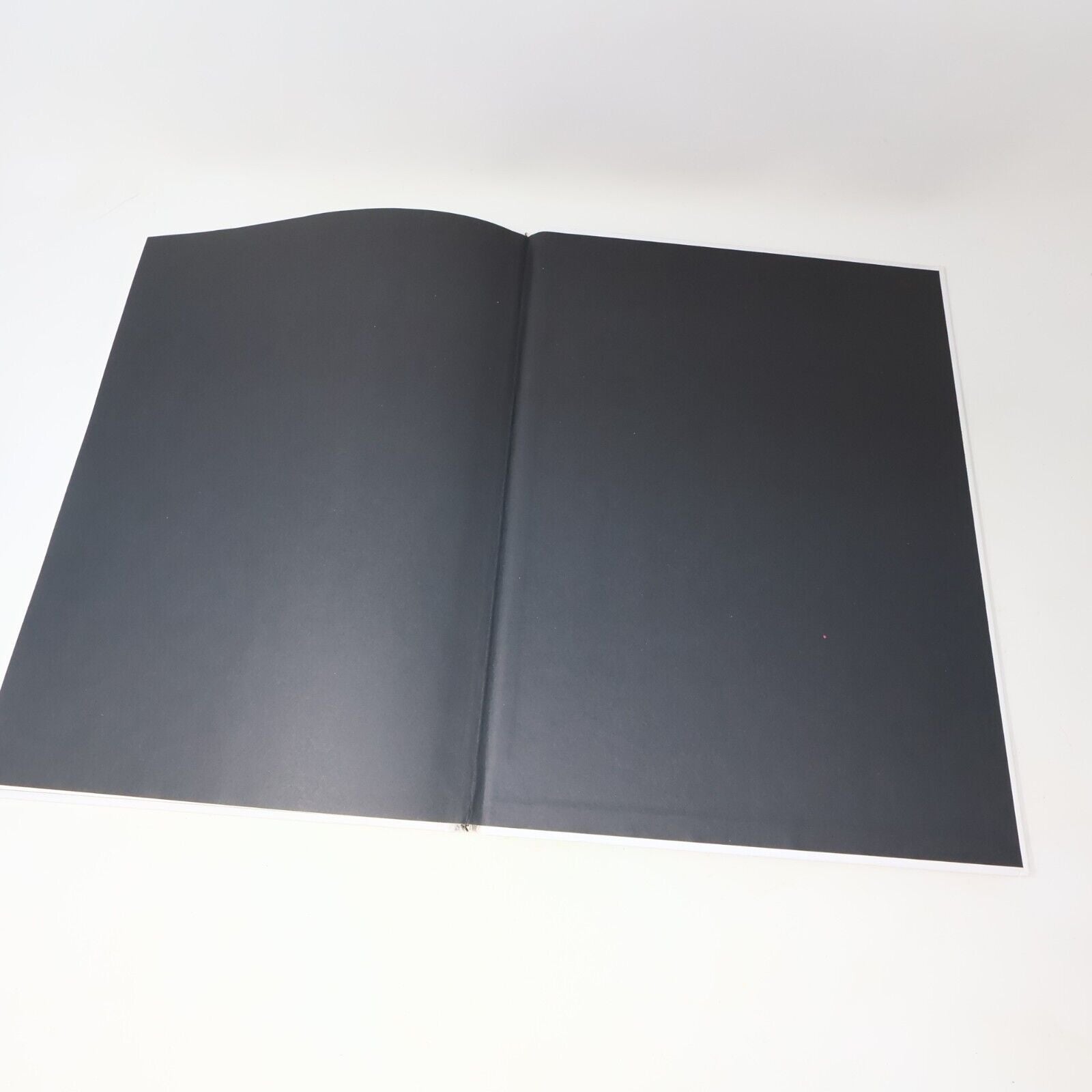 2007 La Face Cachée du Portrait Astuces et Secrets Monic Richard Sophie Massé HC
