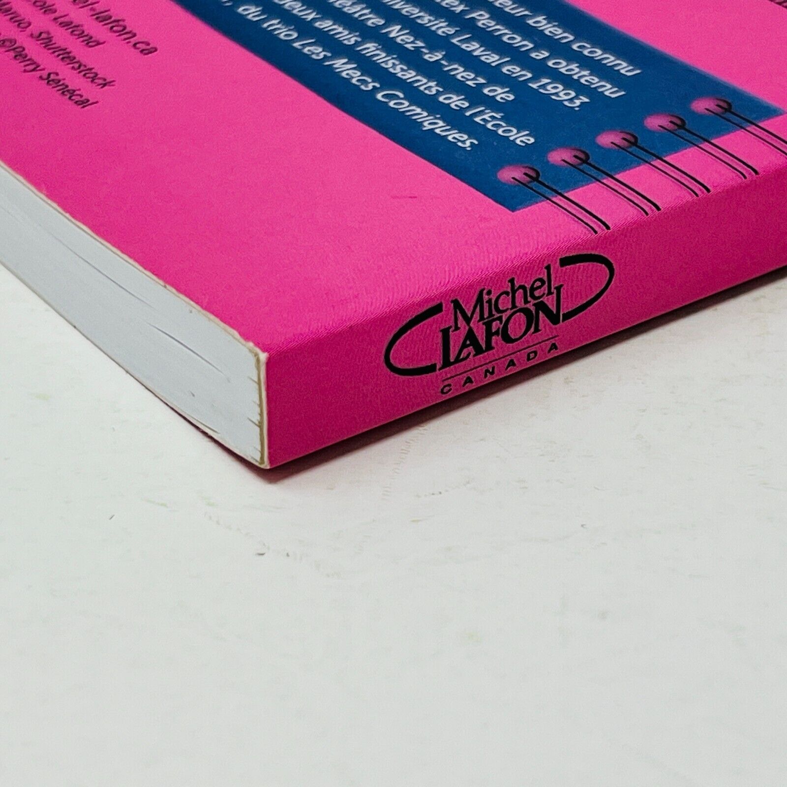 Le Carnet Secret d'Alex Perron Coach de Vie Amoureuse Michel Lafon en Français