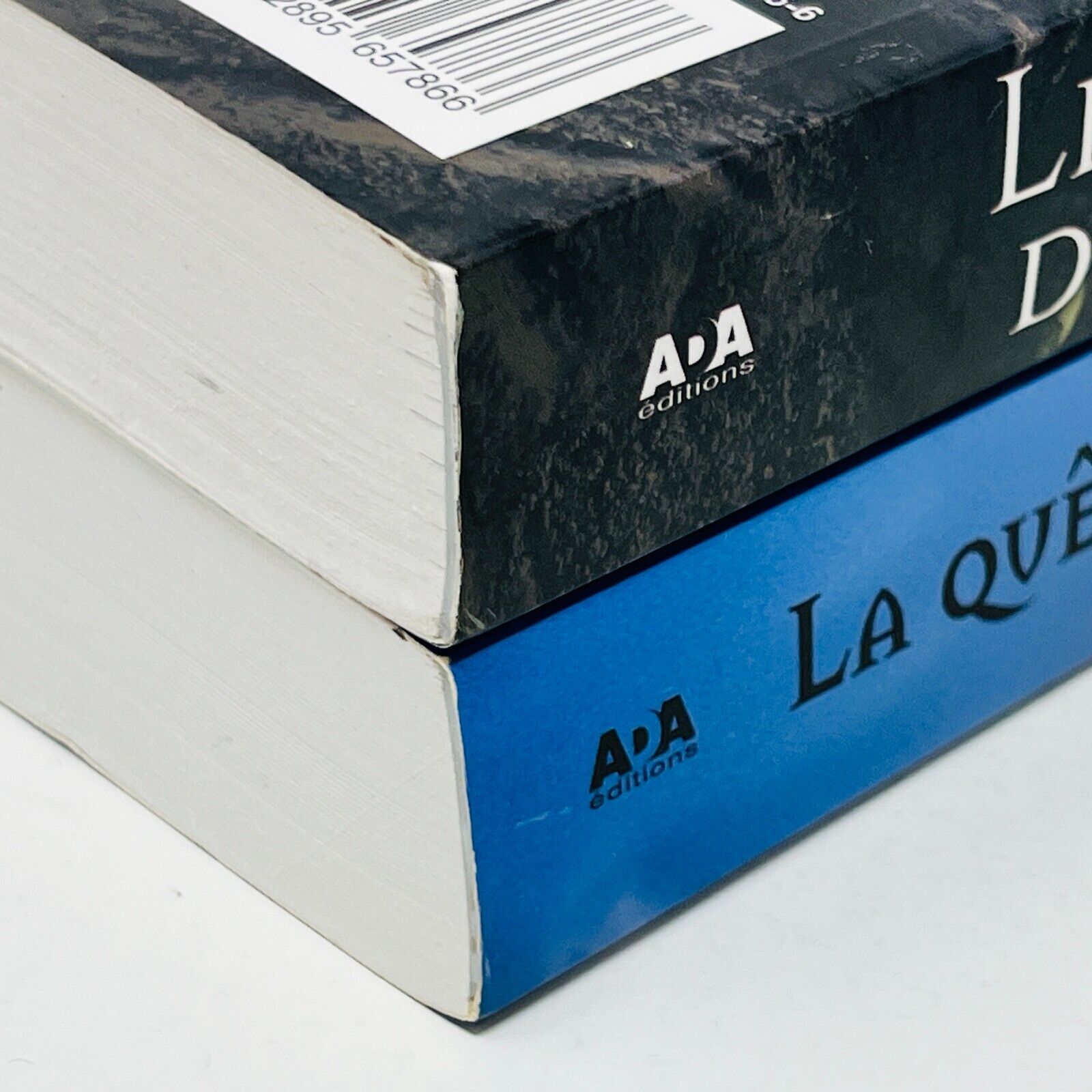 Les Chroniques de la Gardienne des Dragons #1-2 de Donita K. Paul Sortilèges Lot