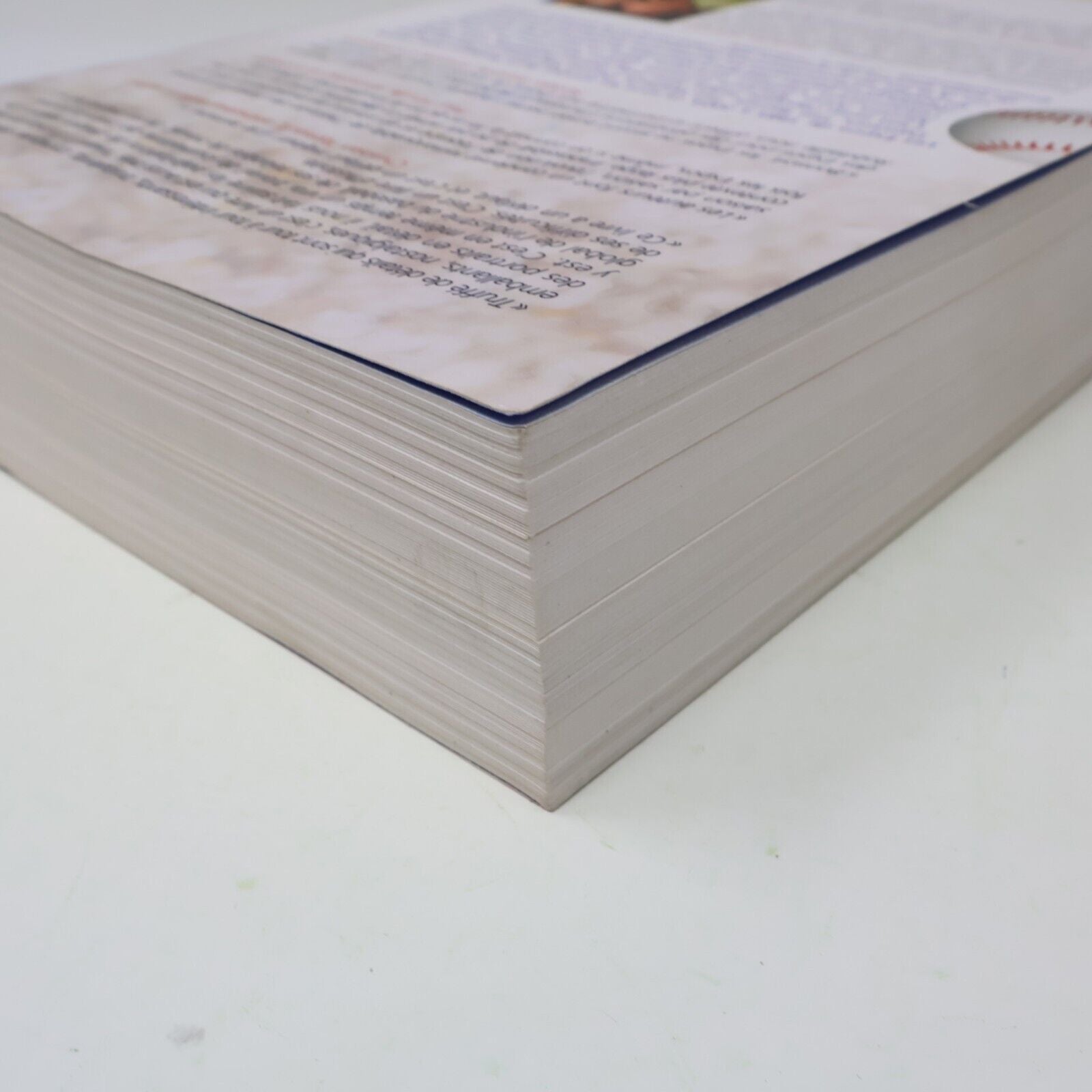 2009 Il Était une Fois les Expos #2 Les Années 1985-2004 Doucet/Robitaille Livre