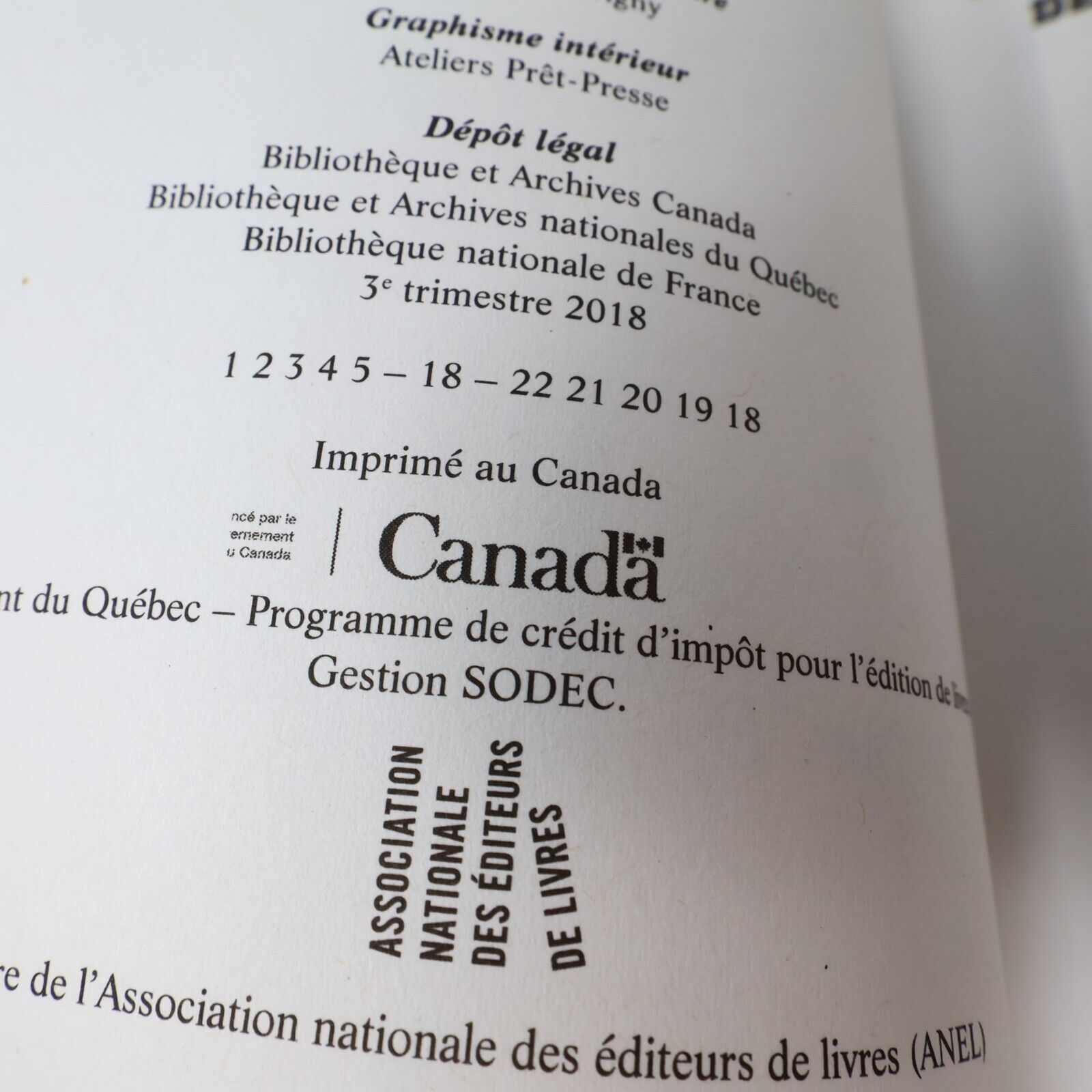 2018 Déclaration de Guerre Victoire Divine #1 de Edith Kabuya De Mortagne PB