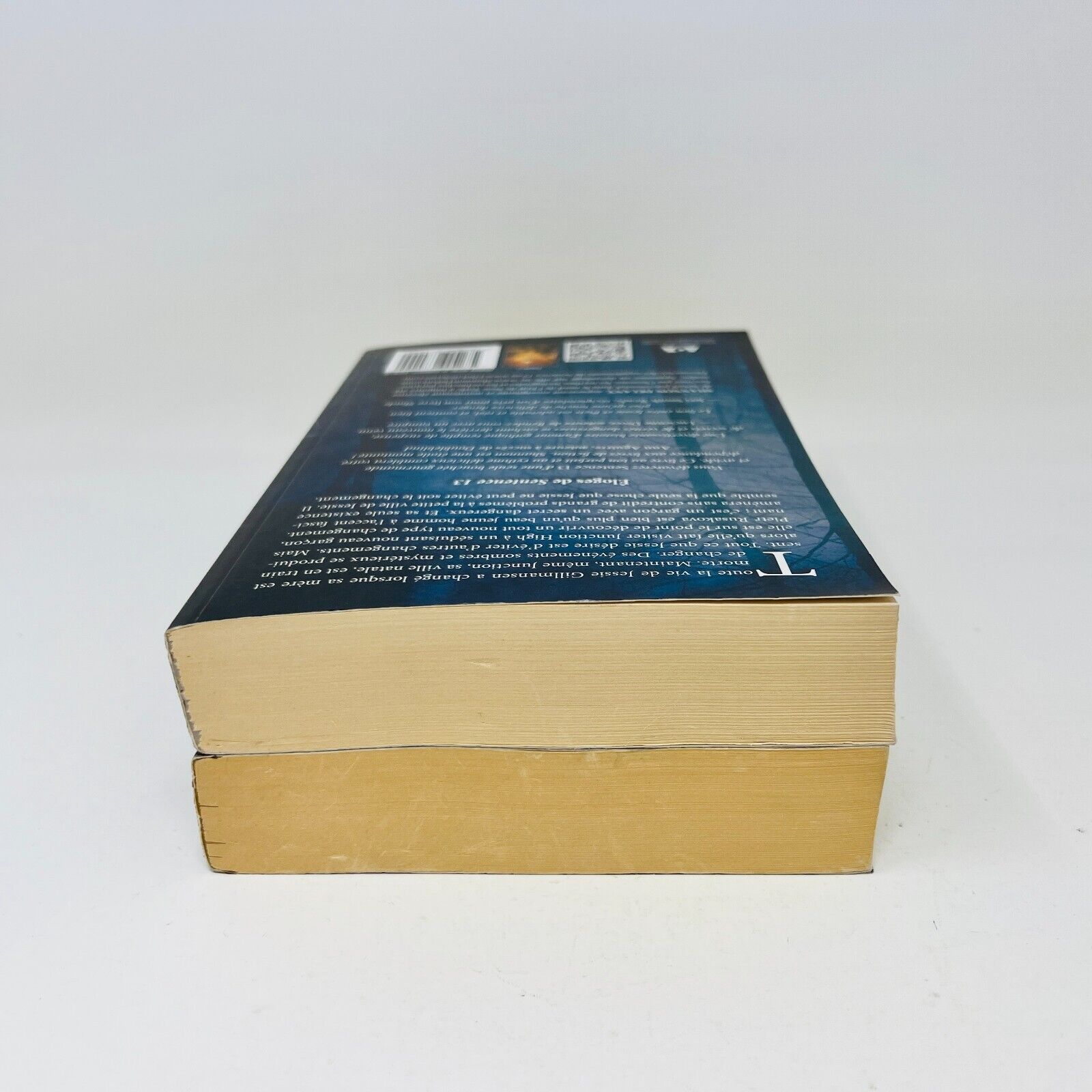 Sentence 13 #1-2 de Shannon Delany Ada en Français/French Lot Ombres et Secrets