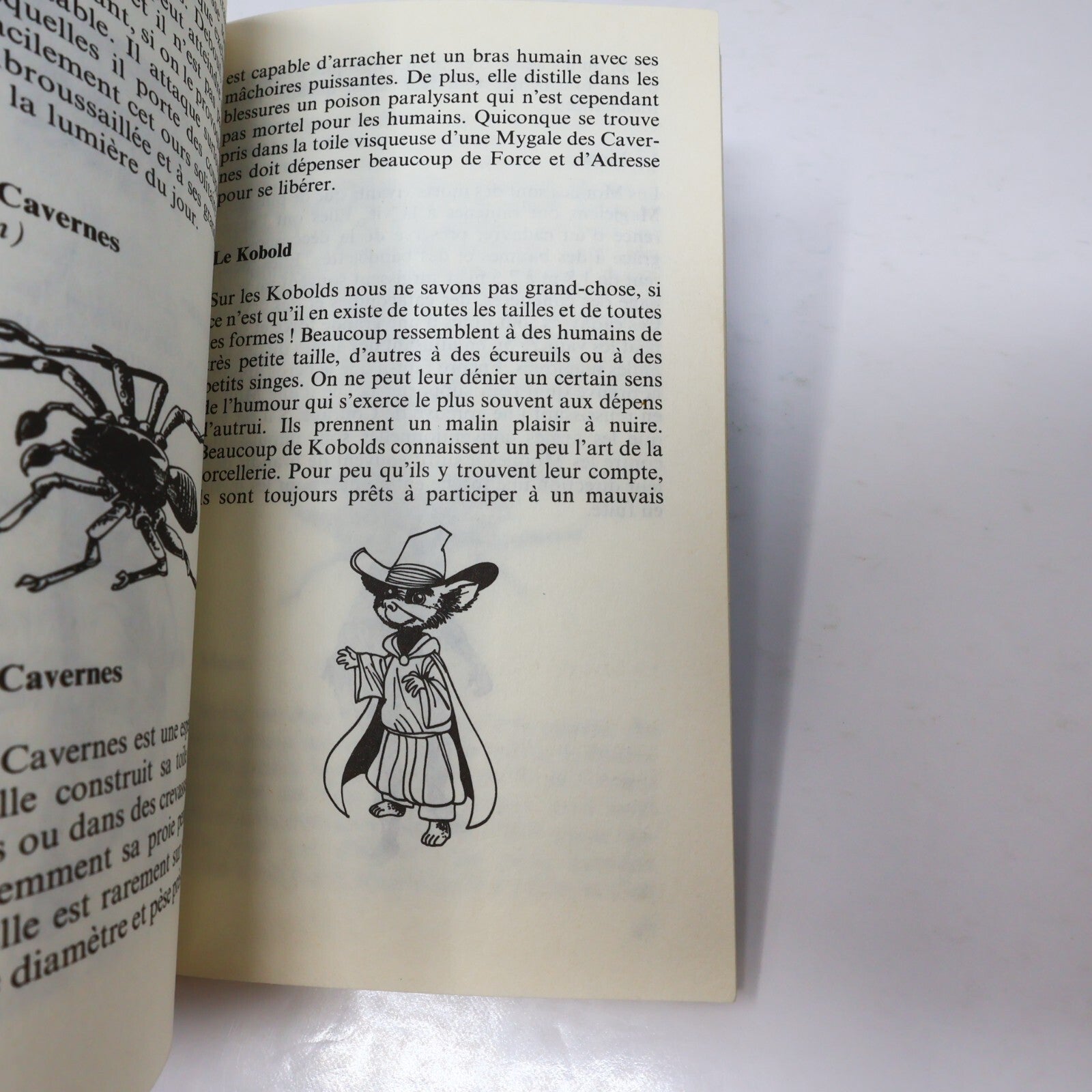 L'Oeil Noir LDVELH Lot 3 Livre des Aventures/Héros Monstres et Forces Obscures