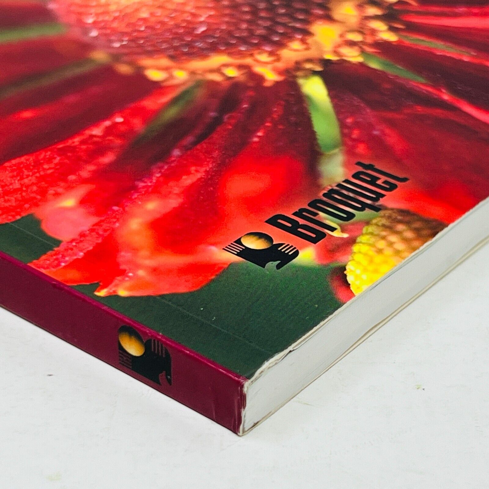 2007 Vivaces Les Idées du Jardinier Paresseux de Larry Hodgson Livre Broquet