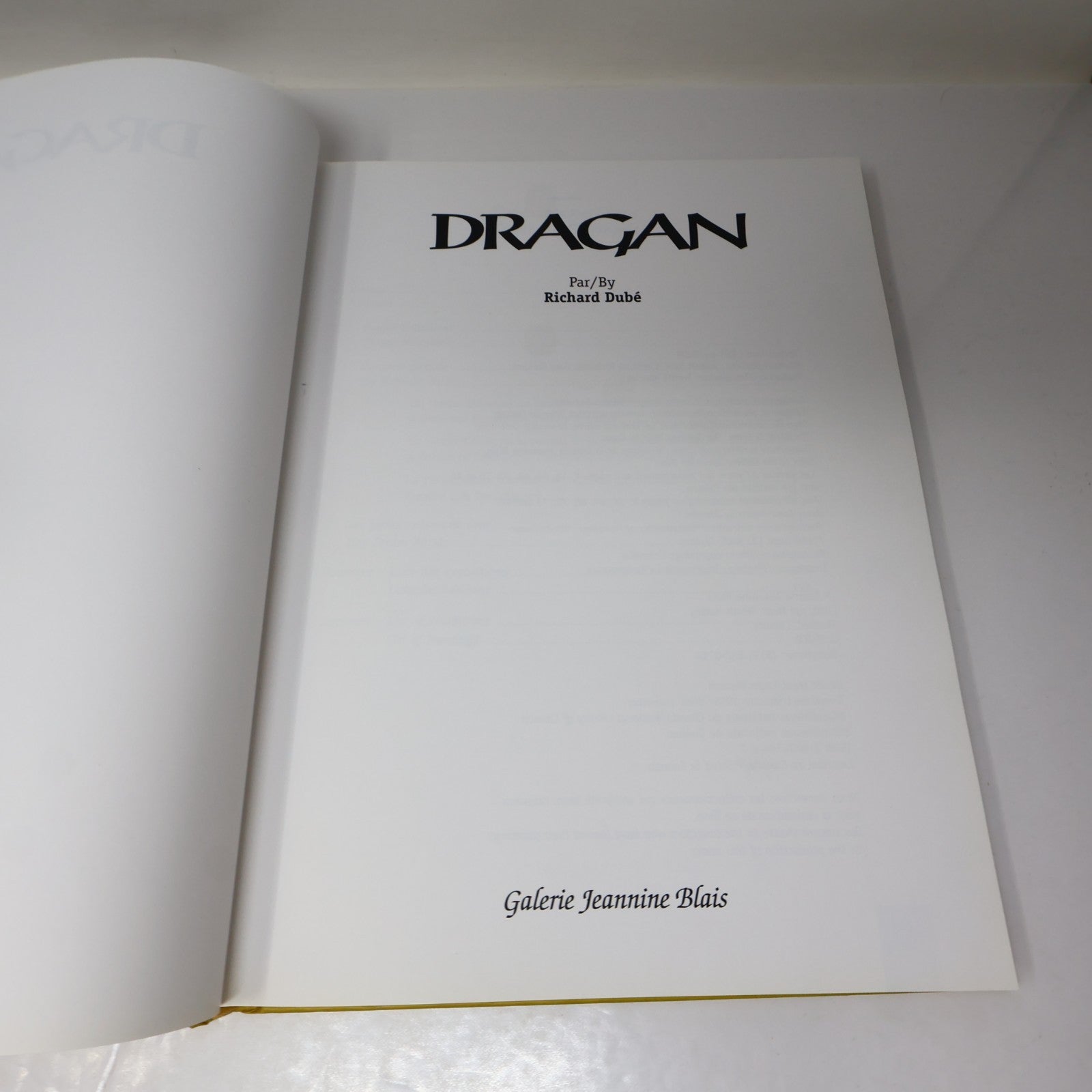 Dragan Art Monographie d'Artiste 1995 HC Galerie Jeannine Blais Hardcover Book