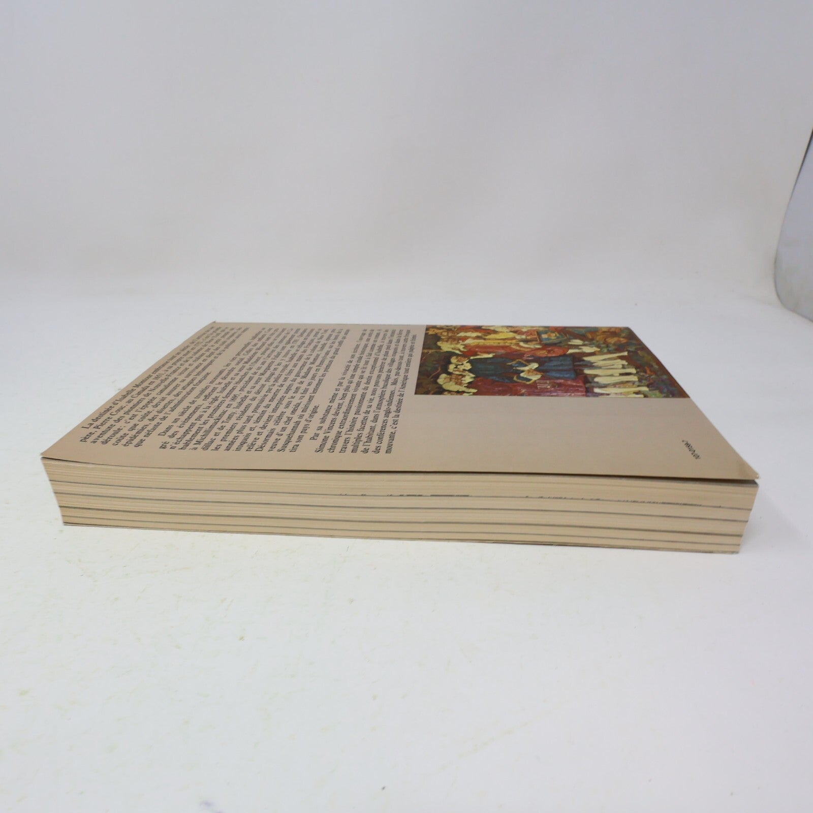 1979 Madame Montour et son Temps Simone Vincens Québec Amérique Biographie Livre