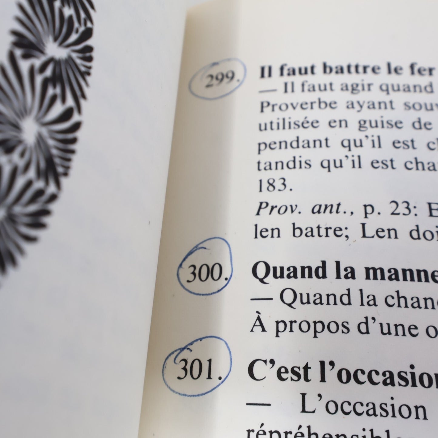 1974 Le Livre de Proverbes Québécois Pierre Desruisseaux L'Aurore Langue 70s PB