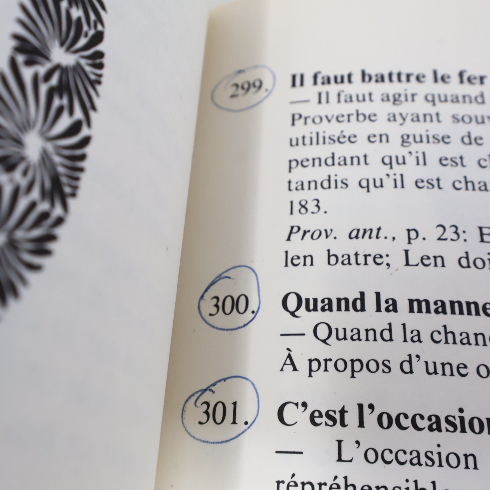 1974 Le Livre de Proverbes Québécois Pierre Desruisseaux L'Aurore Langue 70s PB