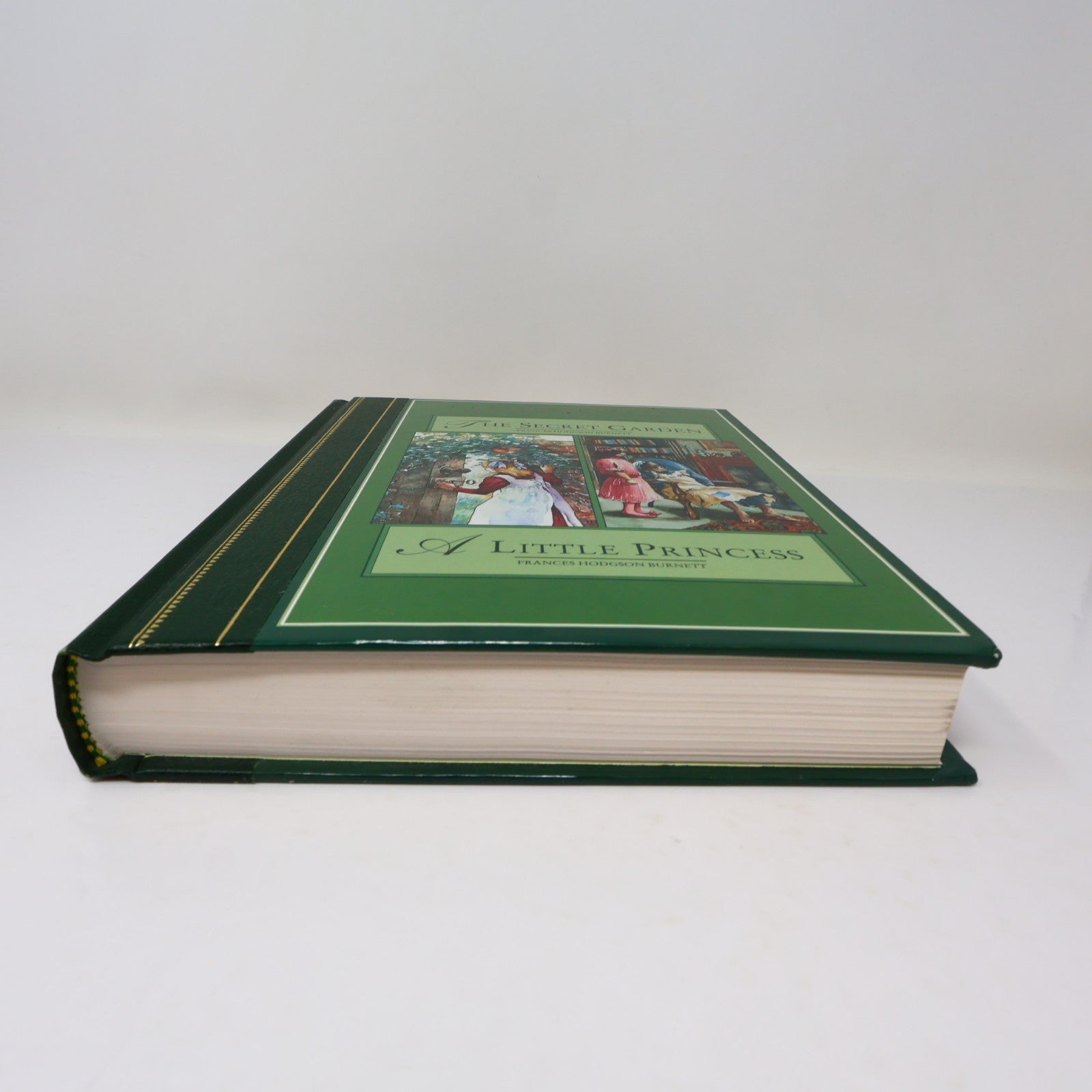 The Secret Garden/A Little Princess Frances Hodgson Burnett Classic Library 1995
