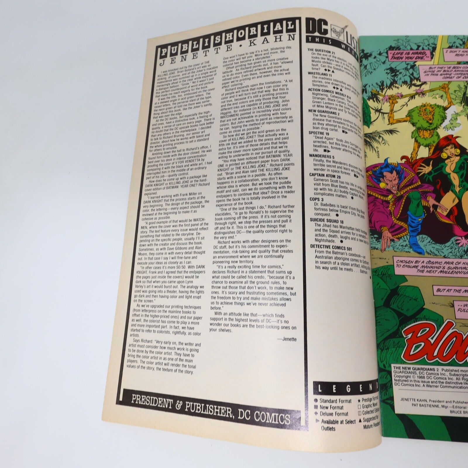 1988 Jungle Snow The New Guardians #2 Englehart/Bates/Staton/Farmer DC Comic 80s