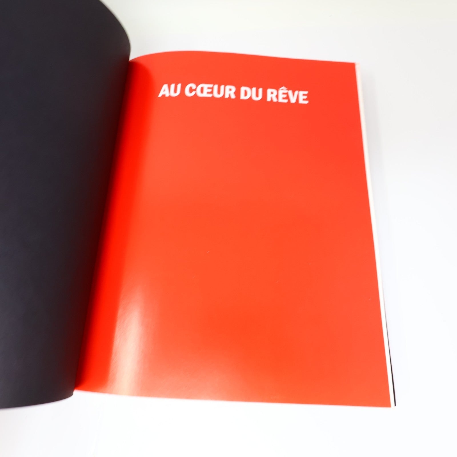 Au Coeur du Rêve Comment Canadian Tire est Devenu le Magasin de Choix au Canada