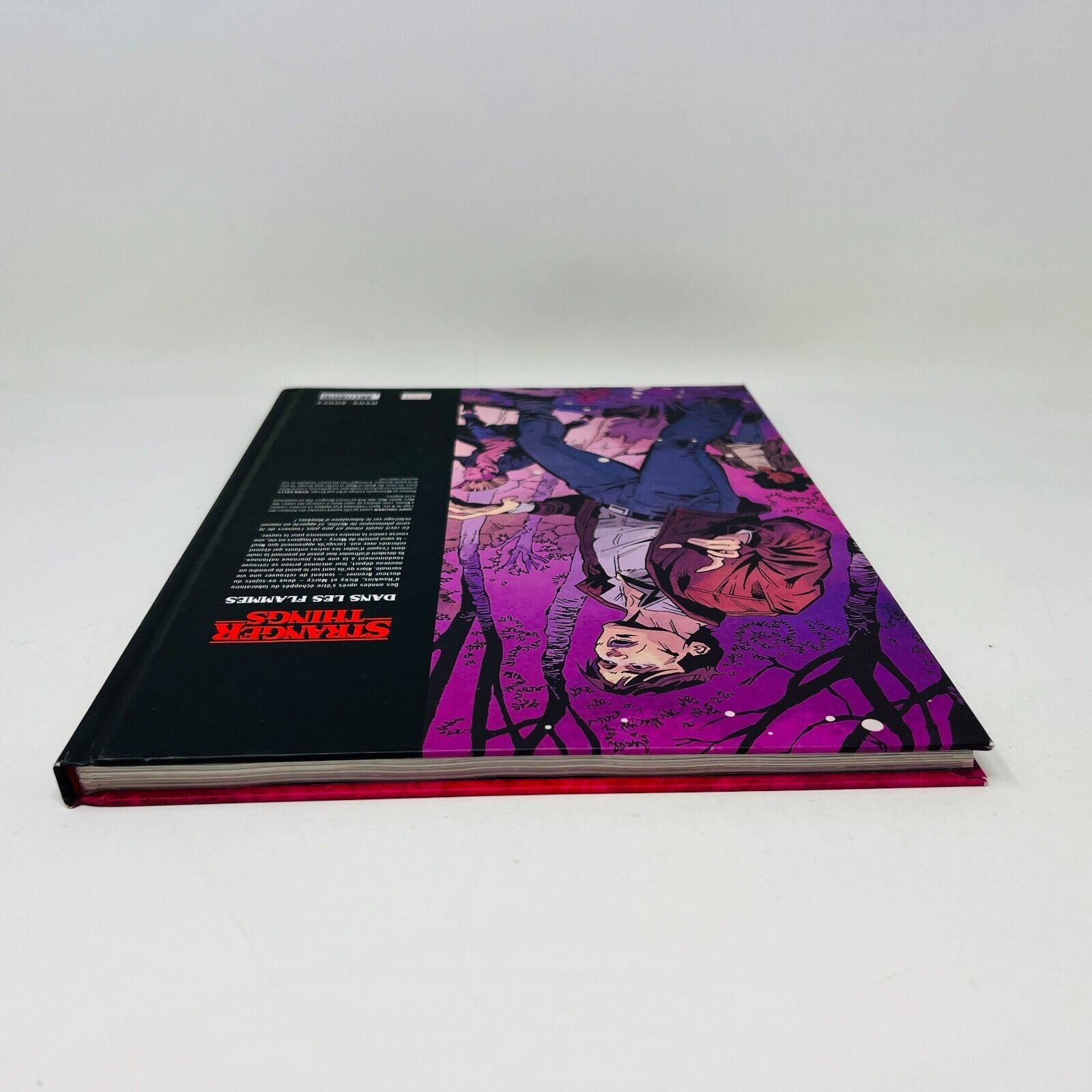 2020 Stranger Things Dans les Flammes en Français/French Bande Dessinée HC Mana