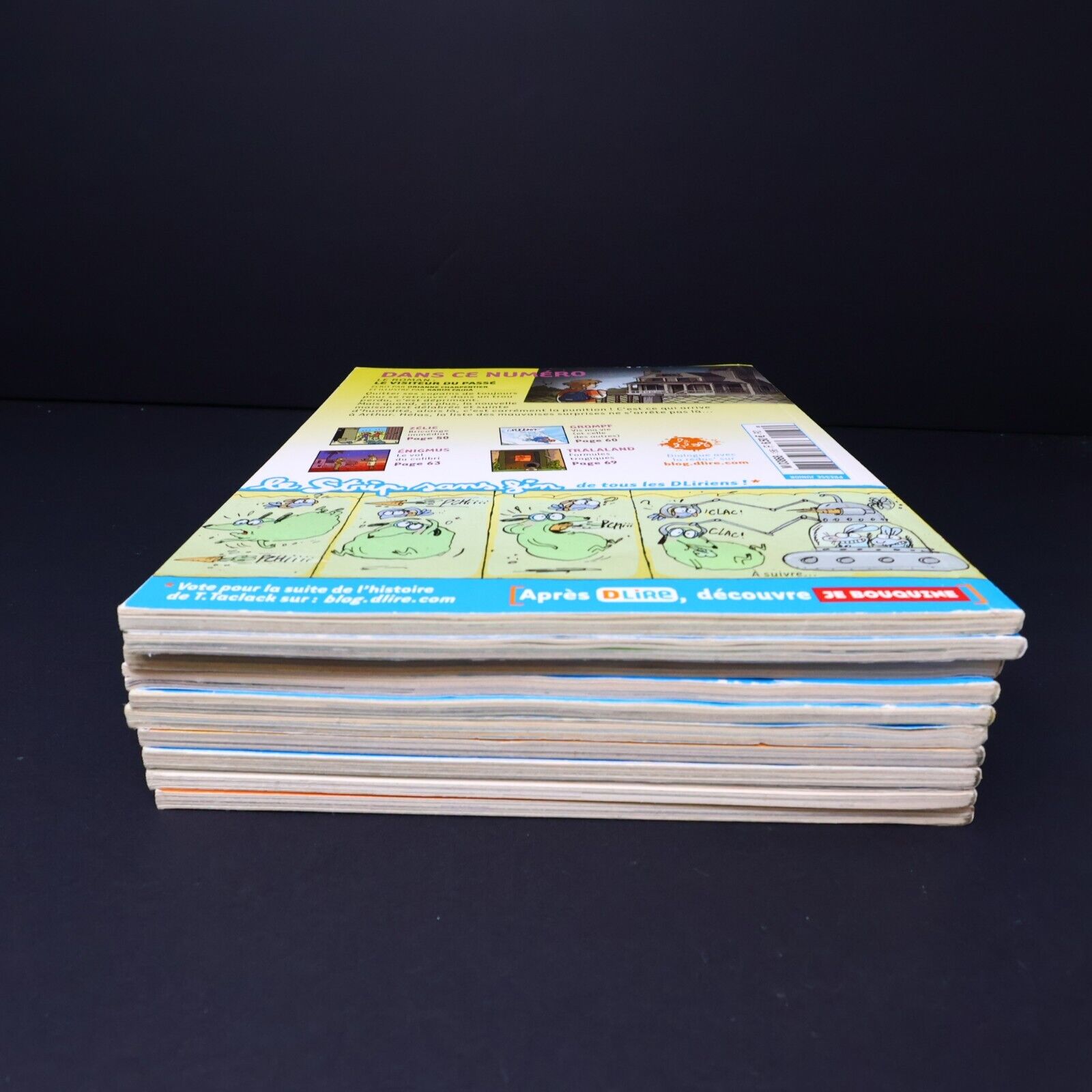 Lot 10 Magazines DLire Enfants Magazine Bayard Le Maître et les Elfes Français