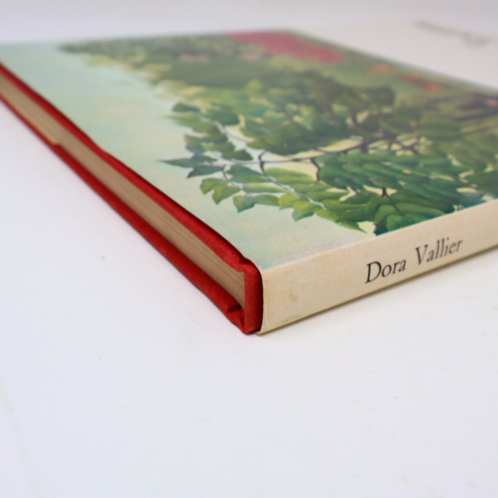 1979 Henri Rousseau The Douanier a File Artist's Monograph by Dora Vallier Book
