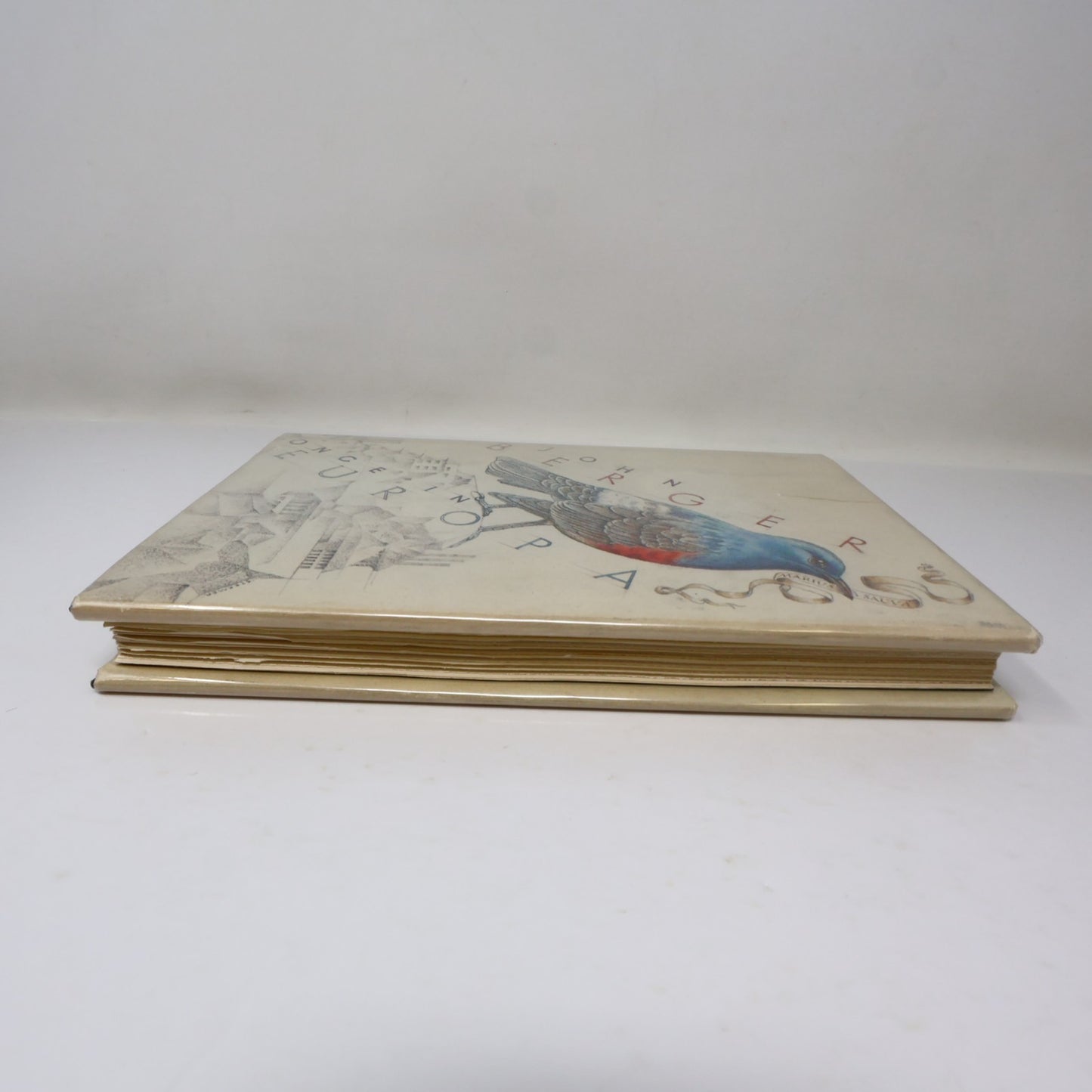 Once in Europa John Berger 1987 HC Litterature 1st Edition Hardcover Book 80s DJ