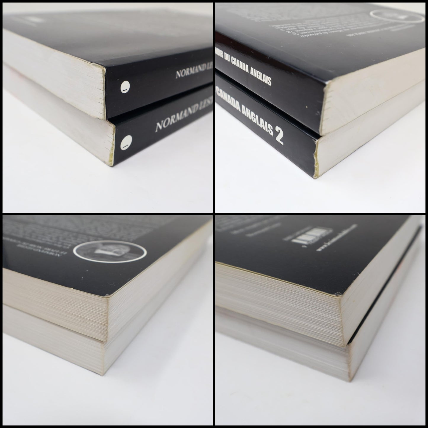 Le Livre Noir du Canada Anglais #1-2 Lot 2 Livres Normand Lester Politique PB