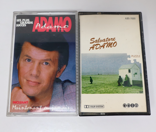 Salvatore Adamo Lot 2 Cassette Ses Plus Grands Succès/Puzzle C'est Ma Vie/Elle