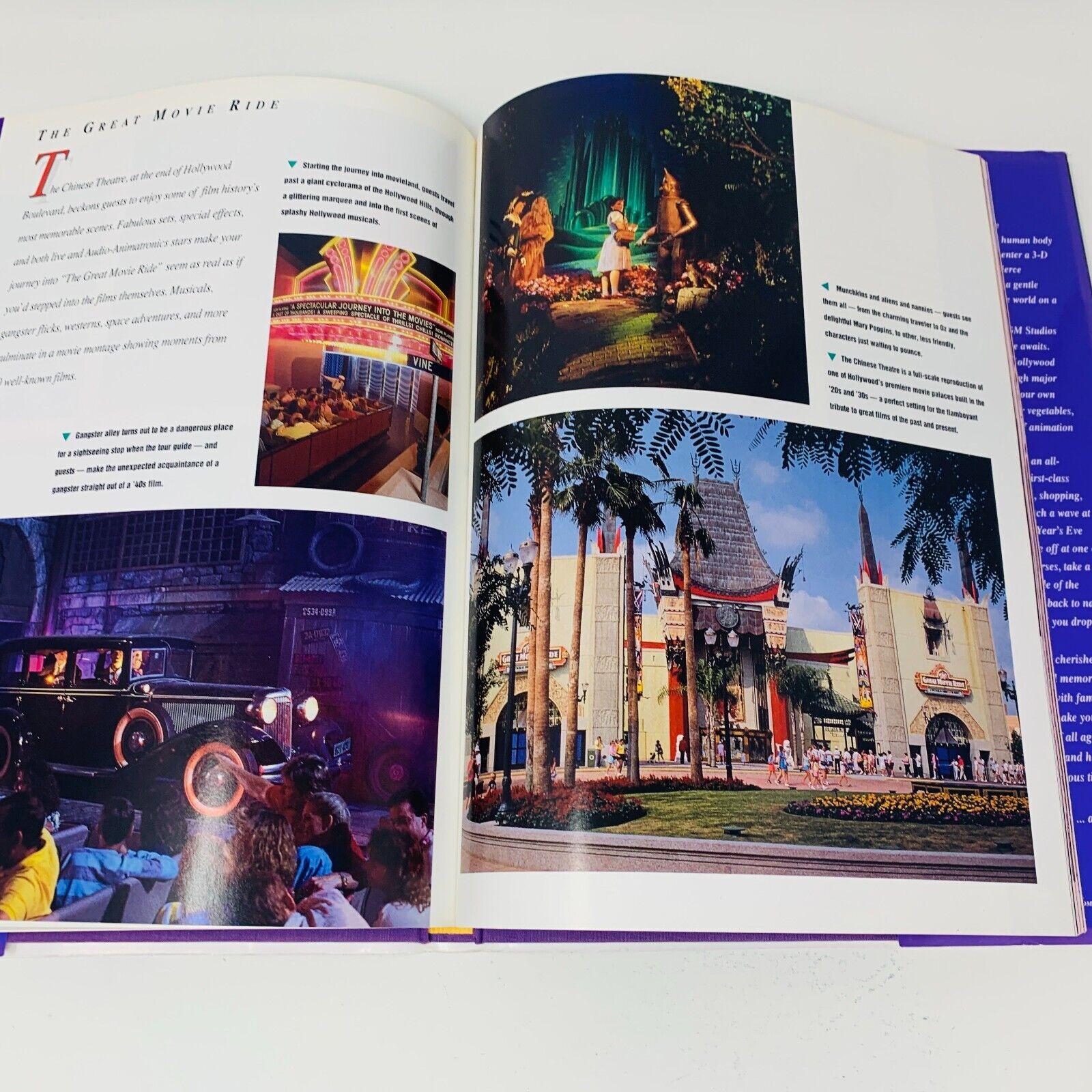 c1990s Walt Disney World Disney's Kingdom Editions Purple Theme Parks Hardcover