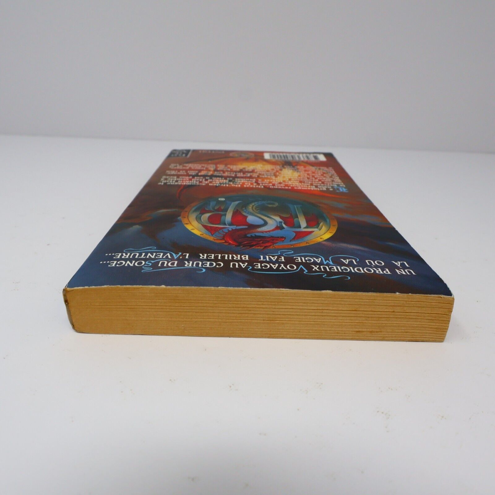 1996 Royaumes Oubliés #16 Les Torrents d'Argent La Trilogie du Val Bise Fantasy