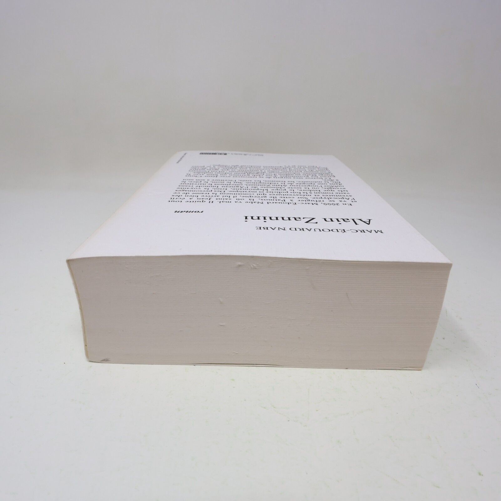 2002 Alain Zannini Marc-Édouard Nabe Du Rocher Français PB Littérature Française