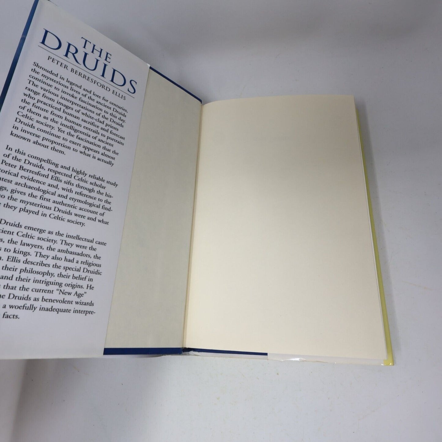 1995 The Druids Peter Berresford Ellis Spirituality Religious History Eerdmans