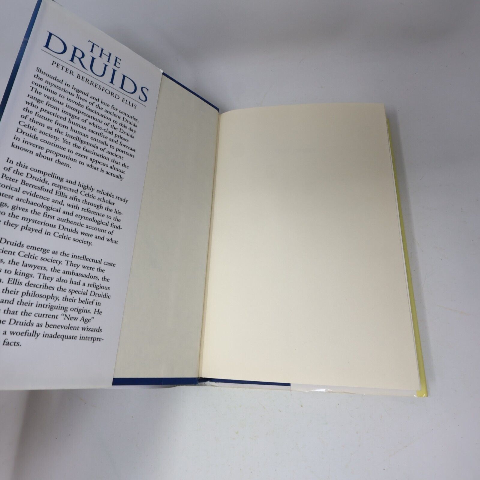 1995 The Druids Peter Berresford Ellis Spirituality Religious History Eerdmans