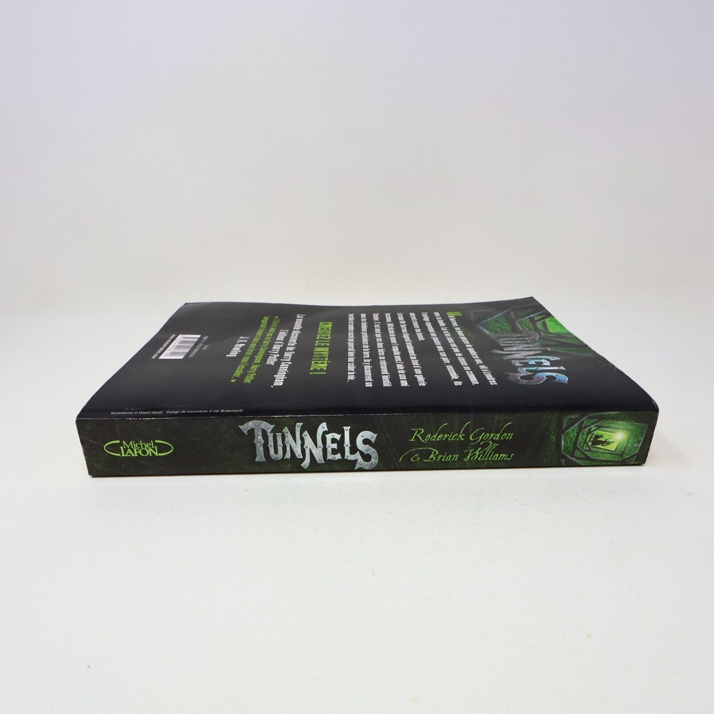 Tunnels #1 Roderick Gordon Brian Williams 2008 Michel Lafon Français Paperback