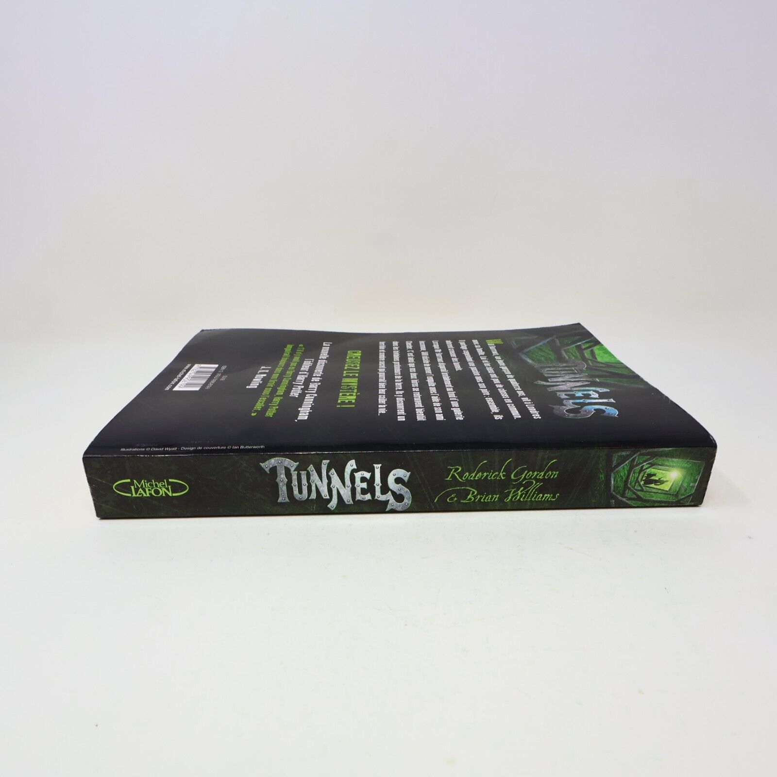 Tunnels #1 Roderick Gordon Brian Williams 2008 Michel Lafon Français Paperback