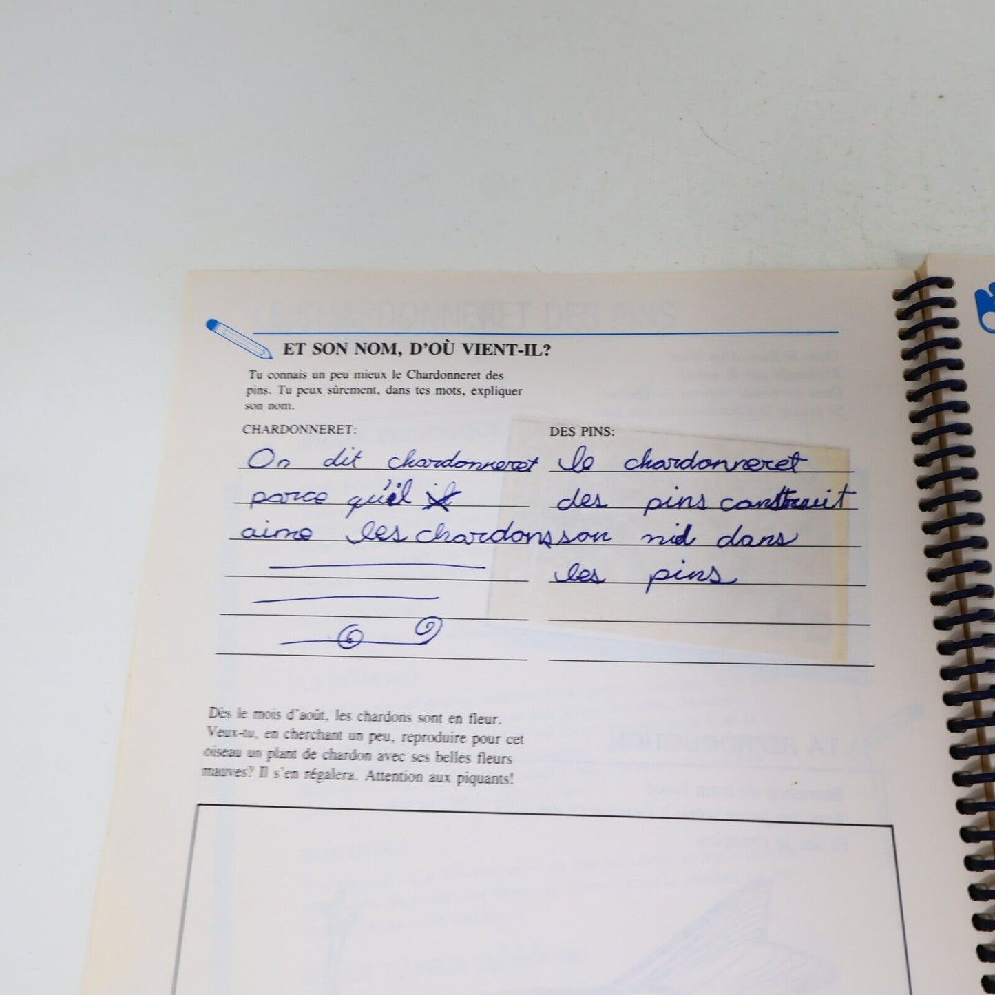 1989 S'Appivoiser aux Oiseaux Suzanne Brûlotte Susy le Brun La Collection Plume